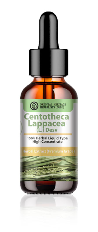 Centotheca Lappacea Herbal Liquid Extracted