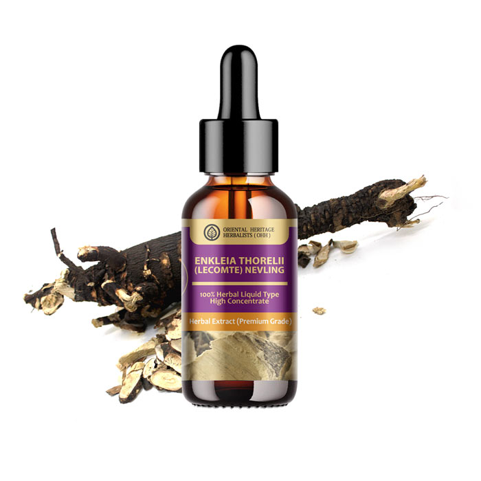 Enkleia thorelii (Lecomte) Nervling Herbal Liquid Extracted 2